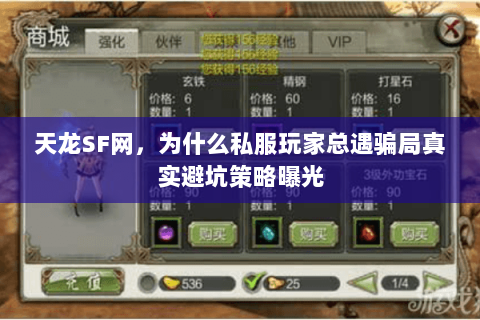 天龙SF网,为什么私服玩家总遇骗局真实避坑策略曝光 天龙SF网,为什么私服玩家总遇骗局真实避坑策略曝光