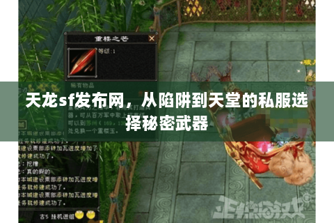 天龙sf发布网,从陷阱到天堂的私服选择秘密武器 天龙sf发布网,从陷阱到天堂的私服选择秘密武器