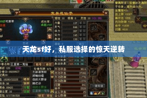 天龙sf好,私服选择的惊天逆转 天龙sf好,私服选择的惊天逆转