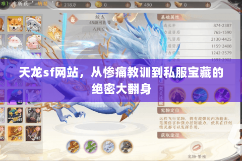 天龙sf网站,从惨痛教训到私服宝藏的绝密大翻身 天龙sf网站,从惨痛教训到私服宝藏的绝密大翻身