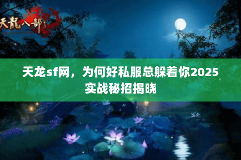 天龙sf网,为何好私服总躲着你2025实战秘招揭晓 天龙sf网,为何好私服总躲着你2025实战秘招揭晓