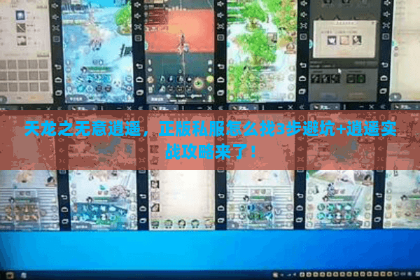 天龙之无意逍遥,正版私服怎么找3步避坑+逍遥实战攻略来了! 天龙之无意逍遥,正版私服怎么找3步避坑+逍遥实战攻略来了!