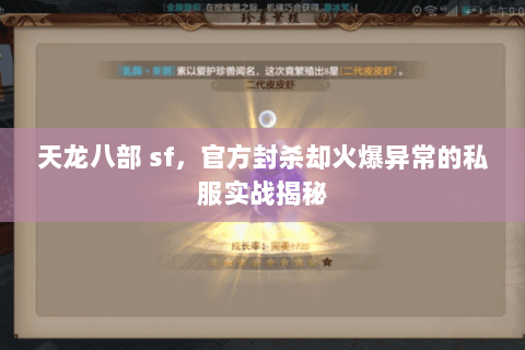天龙八部 sf,官方封杀却火爆异常的私服实战揭秘 天龙八部 sf,官方封杀却火爆异常的私服实战揭秘