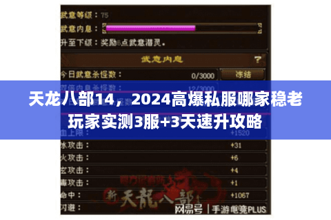 天龙八部14,2024高爆私服哪家稳老玩家实测3服+3天速升攻略 天龙八部14,2024高爆私服哪家稳老玩家实测3服+3天速升攻略