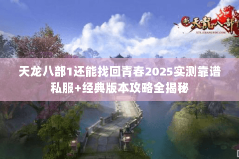 天龙八部1还能找回青春2025实测靠谱私服+经典版本攻略全揭秘