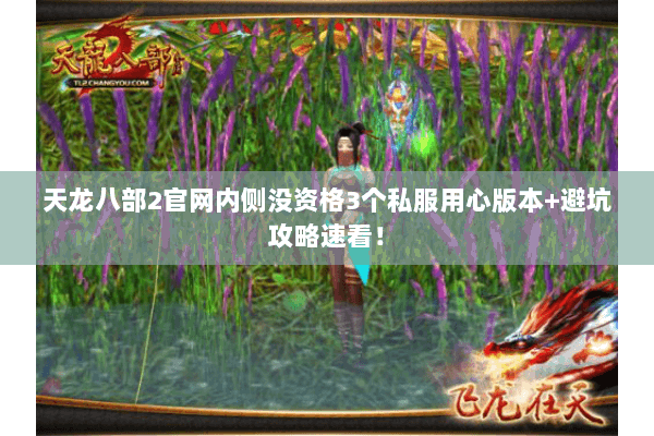 天龙八部2官网内侧没资格3个私服用心版本+避坑攻略速看！