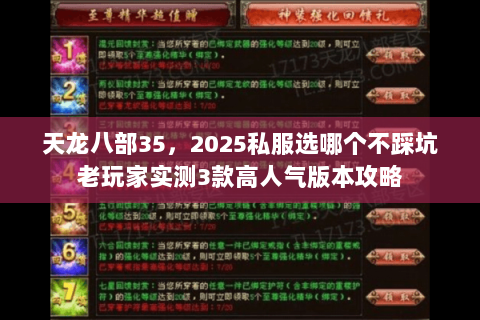 天龙八部35，2025私服选哪个不踩坑老玩家实测3款高人气版本攻略