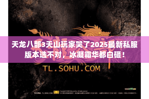 天龙八部3天山玩家哭了2025最新私服版本选不对，冰凝霜华都白砸！