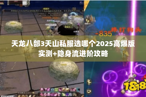 天龙八部3天山私服选哪个2025高爆版实测+隐身流进阶攻略 天龙八部3天山私服选哪个2025高爆版实测+隐身流进阶攻略