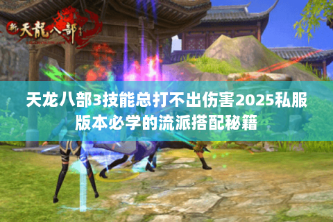 天龙八部3技能总打不出伤害2025私服版本必学的流派搭配秘籍 天龙八部3技能总打不出伤害2025私服版本必学的流派搭配秘籍