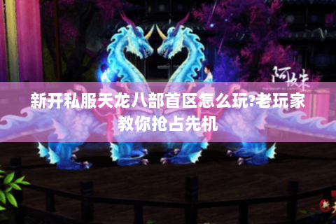 新开私服天龙八部首区怎么玩?老玩家教你抢占先机