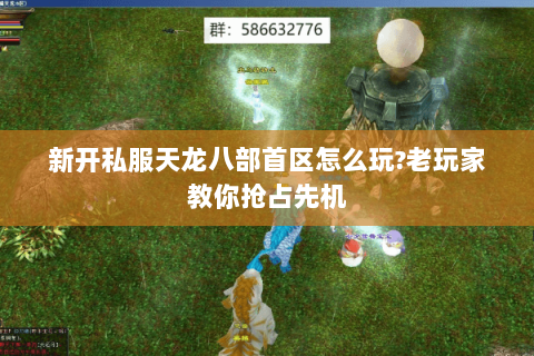 新开私服天龙八部首区怎么玩?老玩家教你抢占先机