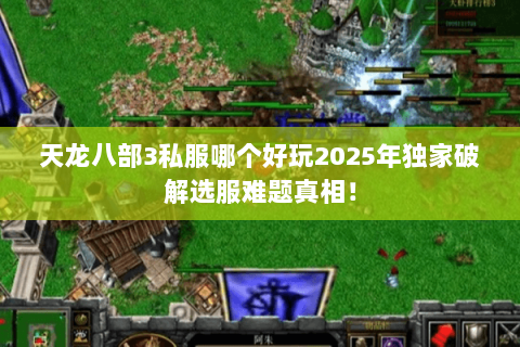 天龙八部3私服哪个好玩2025年独家破解选服难题真相！