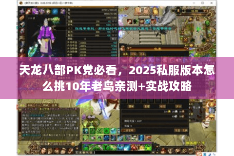 天龙八部PK党必看,2025私服版本怎么挑10年老鸟亲测+实战攻略 天龙八部PK党必看,2025私服版本怎么挑10年老鸟亲测+实战攻略