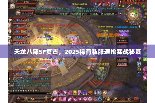 天龙八部SF复古,2025稀有私服速抢实战秘笈 天龙八部SF复古,2025稀有私服速抢实战秘笈