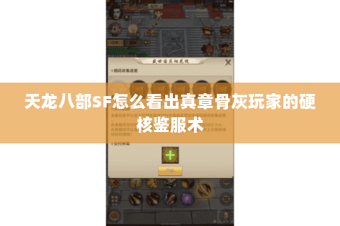 天龙八部SF怎么看出真章骨灰玩家的硬核鉴服术 天龙八部SF怎么看出真章骨灰玩家的硬核鉴服术