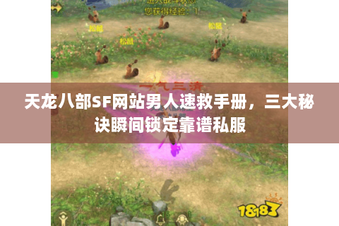 天龙八部SF网站男人速救手册,三大秘诀瞬间锁定靠谱私服 天龙八部SF网站男人速救手册,三大秘诀瞬间锁定靠谱私服