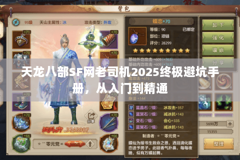 天龙八部SF网老司机2025终极避坑手册,从入门到精通 天龙八部SF网老司机2025终极避坑手册,从入门到精通