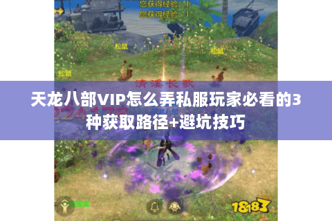 天龙八部VIP怎么弄私服玩家必看的3种获取路径+避坑技巧 天龙八部VIP怎么弄私服玩家必看的3种获取路径+避坑技巧