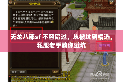 天龙八部sf 不容错过,从被坑到精选,私服老手教你避坑 天龙八部sf 不容错过,从被坑到精选,私服老手教你避坑