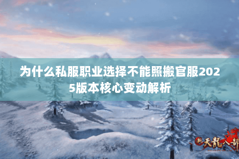 为什么私服职业选择不能照搬官服2025版本核心变动解析 为什么私服职业选择不能照搬官服2025版本核心变动解析