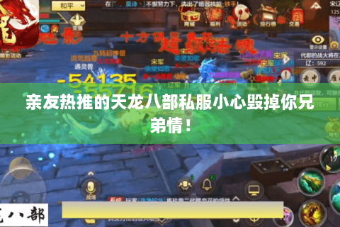 亲友热推的天龙八部私服小心毁掉你兄弟情! 亲友热推的天龙八部私服小心毁掉你兄弟情!