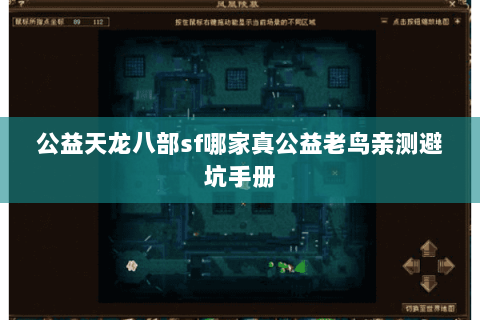 公益天龙八部sf哪家真公益老鸟亲测避坑手册 公益天龙八部sf哪家真公益老鸟亲测避坑手册