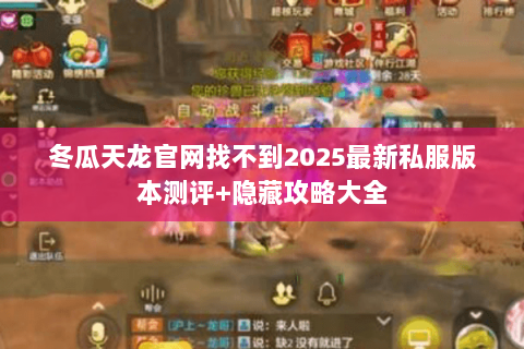 冬瓜天龙官网找不到2025最新私服版本测评+隐藏攻略大全