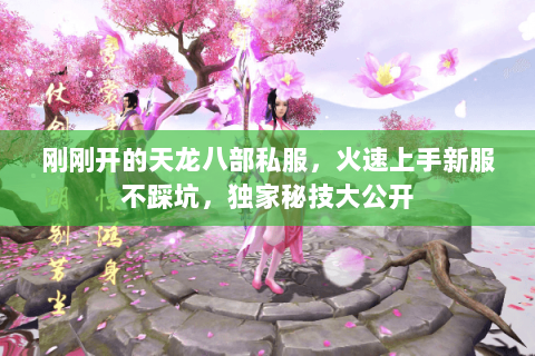 刚刚开的天龙八部私服,火速上手新服不踩坑,独家秘技大公开 刚刚开的天龙八部私服,火速上手新服不踩坑,独家秘技大公开