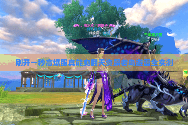 刚开一秒高爆服真能爽翻天资深老鸟避雷全实测 刚开一秒高爆服真能爽翻天资深老鸟避雷全实测