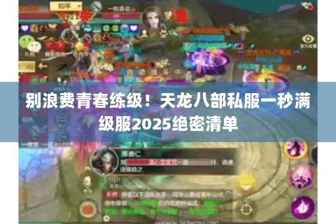 别浪费青春练级!天龙八部私服一秒满级服2025绝密清单 别浪费青春练级!天龙八部私服一秒满级服2025绝密清单