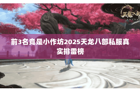 前3名竟是小作坊2025天龙八部私服真实排雷榜 前3名竟是小作坊2025天龙八部私服真实排雷榜