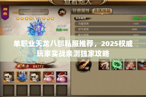 单职业天龙八部私服推荐,2025权威玩家实战亲测独家攻略 单职业天龙八部私服推荐,2025权威玩家实战亲测独家攻略
