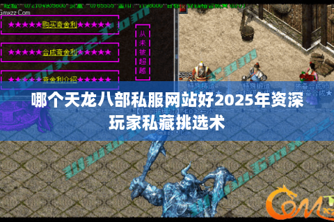 哪个天龙八部私服网站好2025年资深玩家私藏挑选术 哪个天龙八部私服网站好2025年资深玩家私藏挑选术