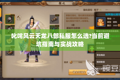 叱咤风云天龙八部私服怎么选?当前避坑指南与实战攻略 叱咤风云天龙八部私服怎么选?当前避坑指南与实战攻略
