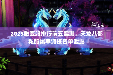 2025微变服排行前五实测,天龙八部私服爆率调校名单泄露 2025微变服排行前五实测,天龙八部私服爆率调校名单泄露