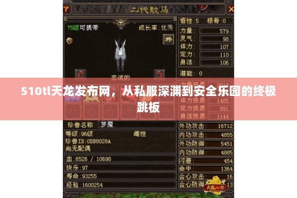 510tl天龙发布网,从私服深渊到安全乐园的终极跳板 510tl天龙发布网,从私服深渊到安全乐园的终极跳板