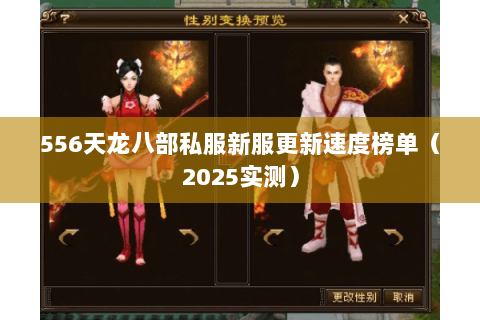 556天龙八部私服新服更新速度榜单（2025实测）