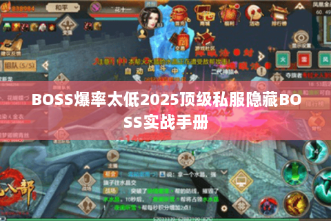 BOSS爆率太低2025顶级私服隐藏BOSS实战手册 BOSS爆率太低2025顶级私服隐藏BOSS实战手册