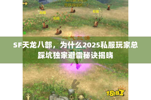 SF天龙八部,为什么2025私服玩家总踩坑独家避雷秘诀揭晓 SF天龙八部,为什么2025私服玩家总踩坑独家避雷秘诀揭晓