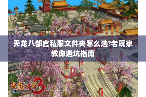 天龙八部官私服文件夹怎么选?老玩家教你避坑指南 天龙八部官私服文件夹怎么选?老玩家教你避坑指南