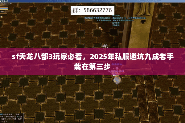 sf天龙八部3玩家必看,2025年私服避坑九成老手栽在第三步 sf天龙八部3玩家必看,2025年私服避坑九成老手栽在第三步