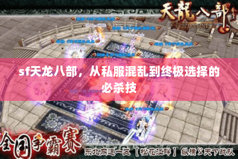 sf天龙八部,从私服混乱到终极选择的必杀技 sf天龙八部,从私服混乱到终极选择的必杀技