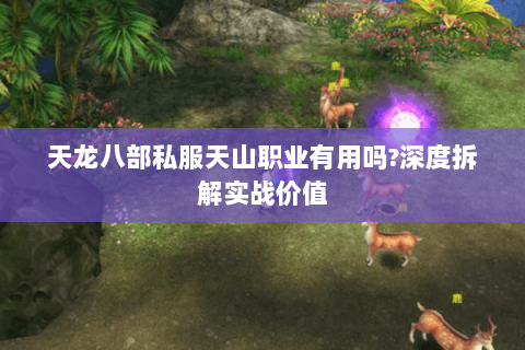 天龙八部私服天山职业有用吗?深度拆解实战价值 天龙八部私服天山职业有用吗?深度拆解实战价值