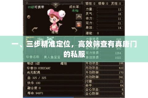 一、三步精准定位,高效筛查有真唐门的私服 一、三步精准定位,高效筛查有真唐门的私服