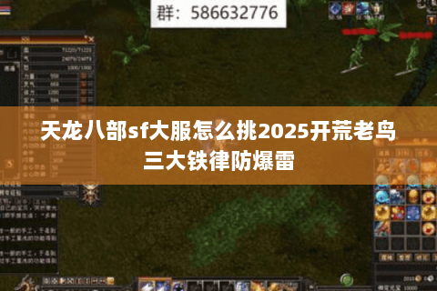 天龙八部sf大服怎么挑2025开荒老鸟三大铁律防爆雷 天龙八部sf大服怎么挑2025开荒老鸟三大铁律防爆雷