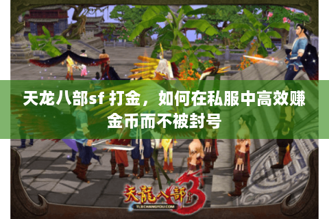 天龙八部sf 打金,如何在私服中高效赚金币而不被封号 天龙八部sf 打金,如何在私服中高效赚金币而不被封号