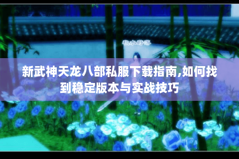 新武神天龙八部私服下载指南,如何找到稳定版本与实战技巧 新武神天龙八部私服下载指南,如何找到稳定版本与实战技巧