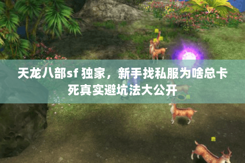 天龙八部sf 独家,新手找私服为啥总卡死真实避坑法大公开 天龙八部sf 独家,新手找私服为啥总卡死真实避坑法大公开