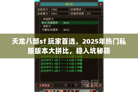 天龙八部sf 玩家首选,2025年热门私服版本大拼比,稳入坑秘籍 天龙八部sf 玩家首选,2025年热门私服版本大拼比,稳入坑秘籍